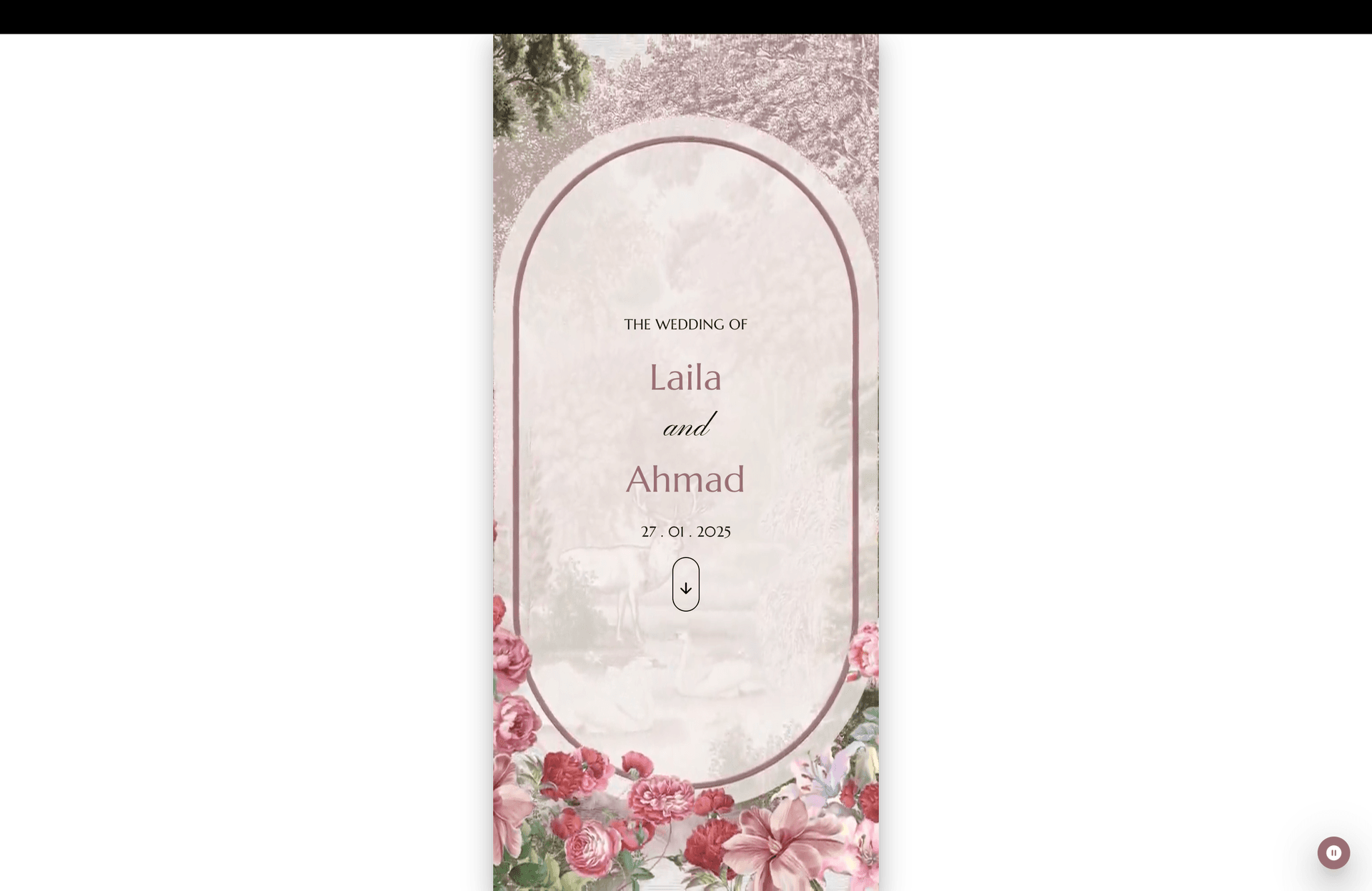 /experience/illa-ahmad/1.png